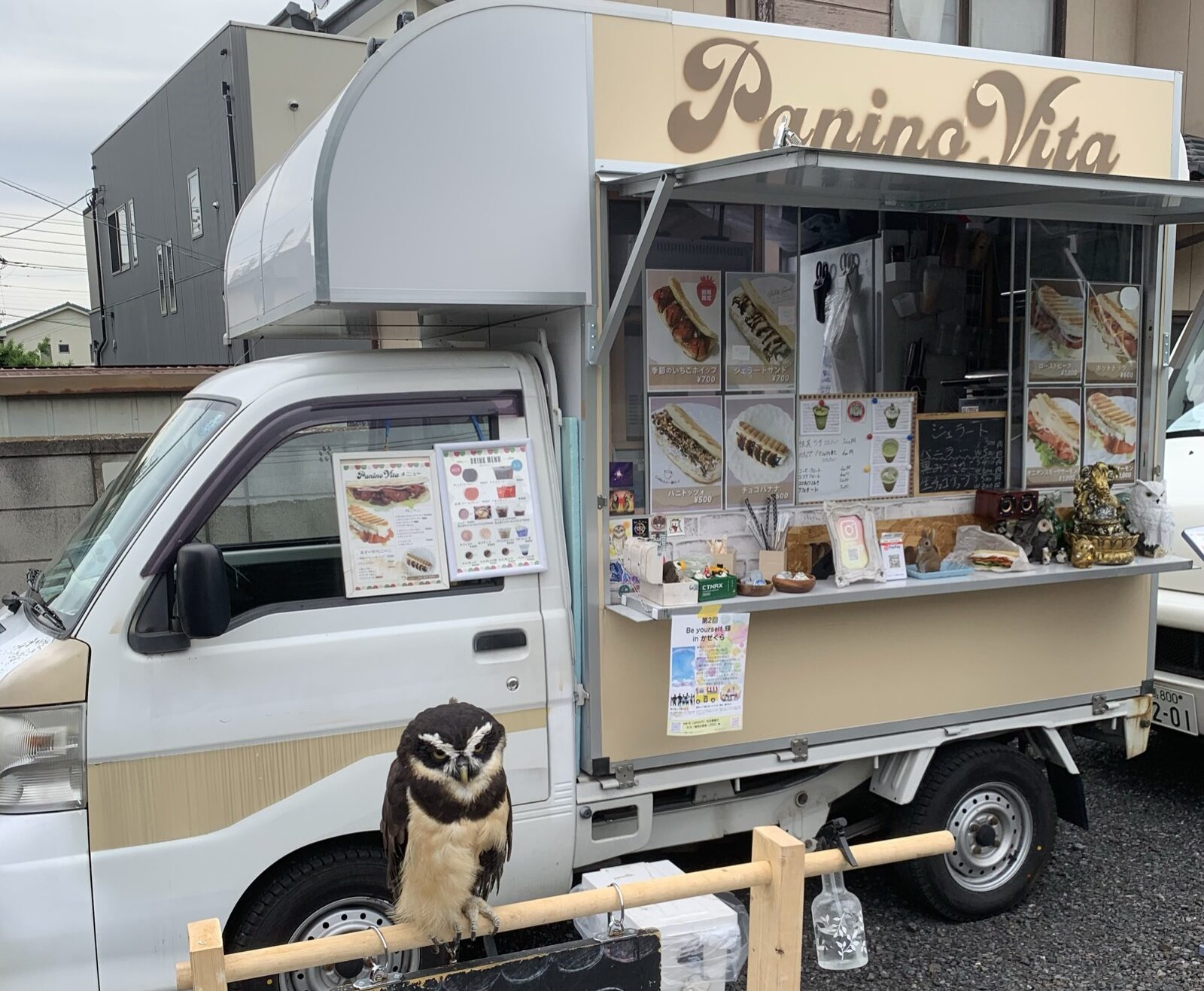 Panino Vita